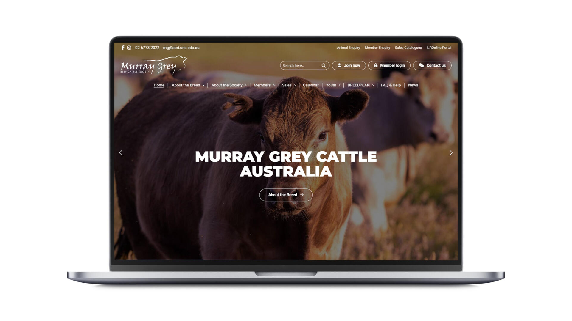 Open laptop showing SEO website designed by Geelong web developers