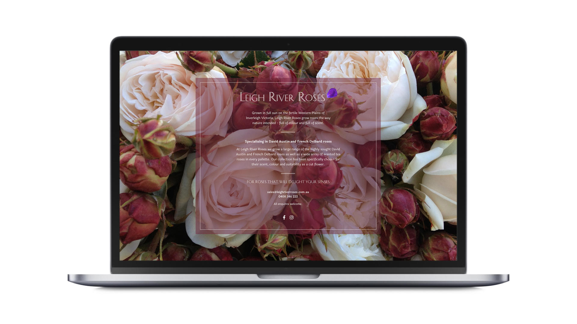 Holding Page Geelong - GOOP Digital - Leigh River Roses