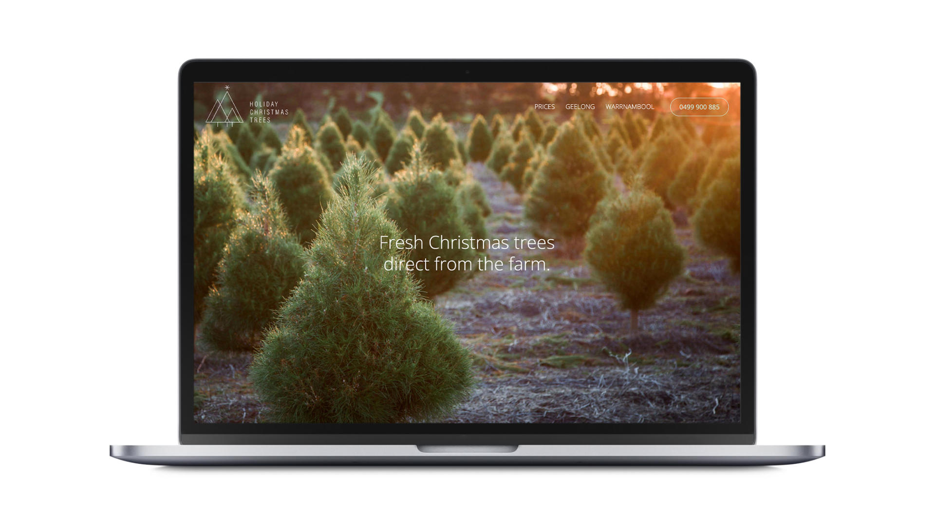 Holiday-christmas-trees-homepage