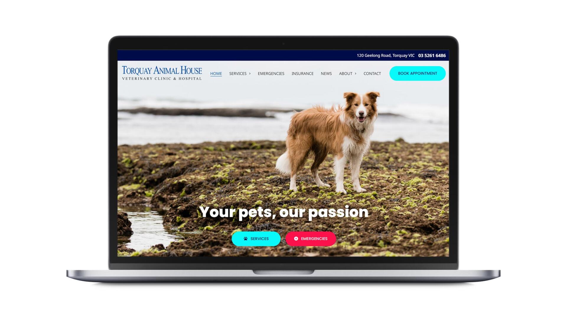 Open laptop showing custom SEO website designed and developed for Torquay business