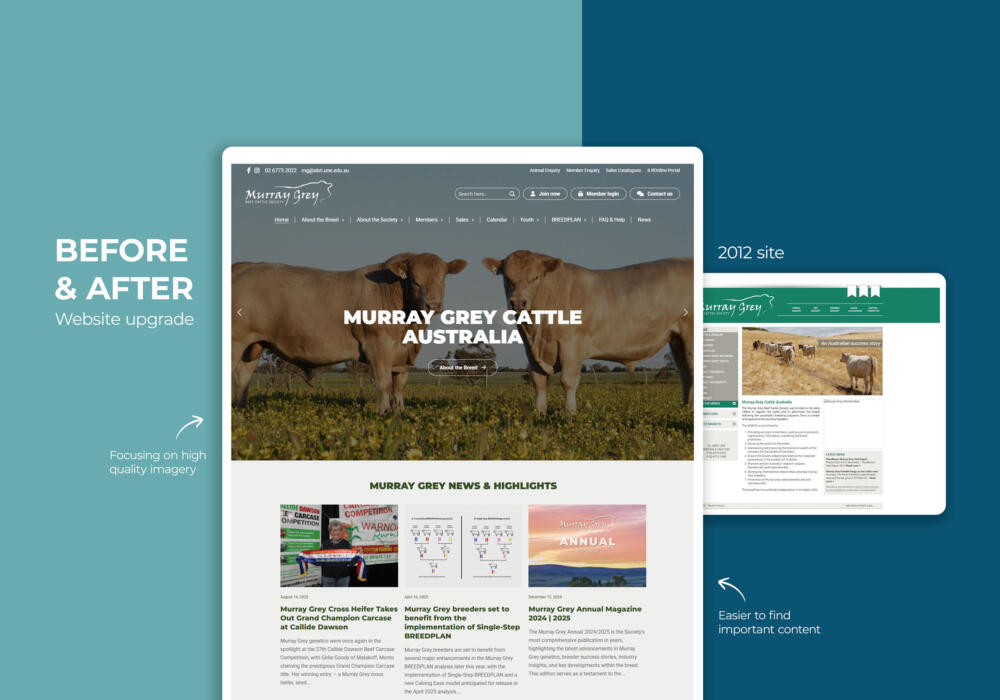 Goop-before-and-after-murray-grey-beef